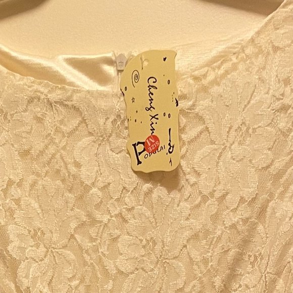 Fully Lined Lace Bodice Dress - Picture 7 of 8